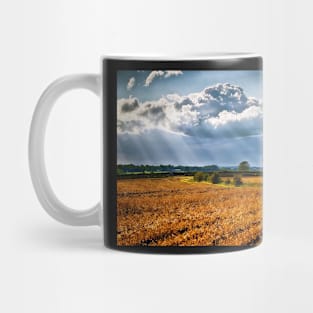 Ever Changing Mug